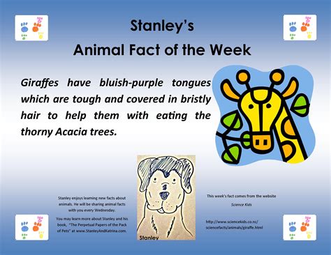 For more facts about giraffes: http://www.sciencekids.co.nz/sciencefacts/animals/giraffe.html To ...