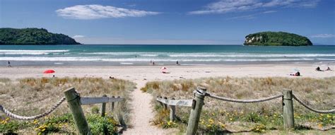 Whangamata Beach, Coromandel, New Zealand Small Feminine Tattoos, Holiday Romance, Coromandel ...