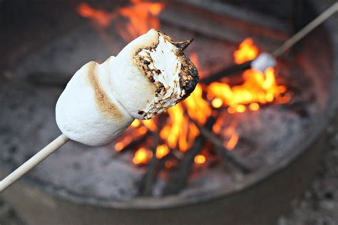 National Toasted Marshmallow Day - Just Brennon Blog