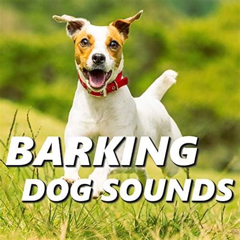 Amazon.com: Barking Dog Sounds : Dog Sounds: Digital Music