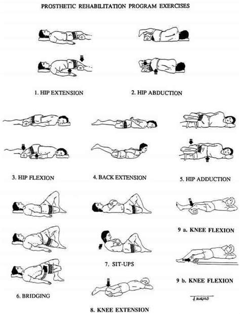 Physical therapy exercises, Physical therapy, Hip flexor