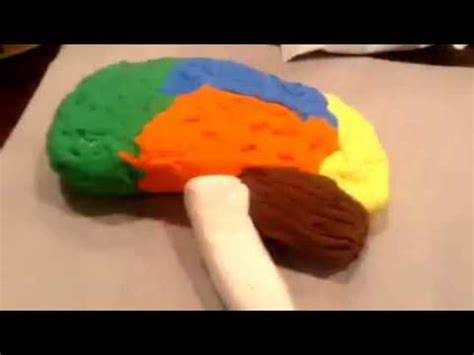 Making a 3D Brain Model Project - YouTube