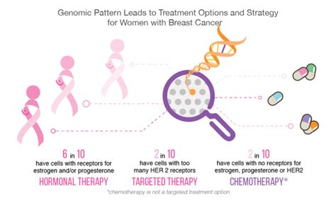 Exploring Cancer Treatment Strategies — Target Therapies - Equicare Health