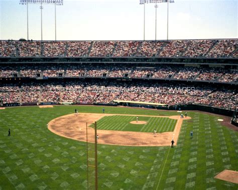 Oakland Athletics Oakland Coliseum 8 x 10 Photograph 1991