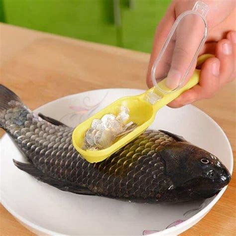 Fish Scale Remover - Online Low Price - MOLOOCO