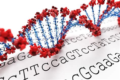 How Reliable Is DNA Evidence? | The Marshall Defense Firm