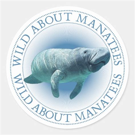 Manatee Stickers | Zazzle.com