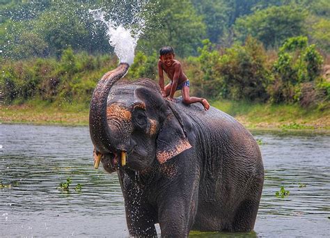 Chitwan National Park: Most Beautiful Place To See In Nepal