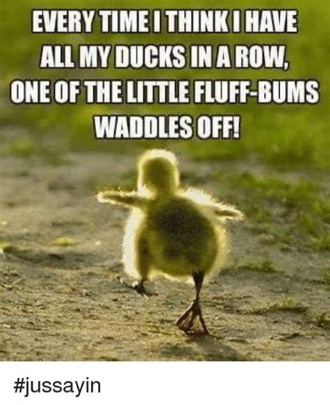 35 Duck Memes That Will Make You Quack All Day | Duck memes, Funny ...