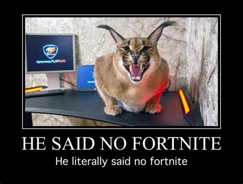 No more fortnite : r/Floppa