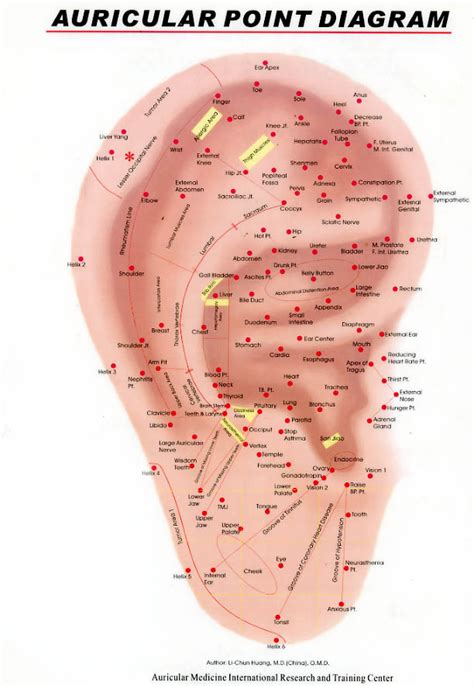 Acupuncture & Weight Loss | Danee Barnett Image Recovery Center