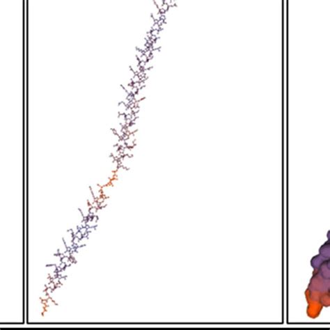 (A) A cartoon model, (B) a ball-and-stick model, and (C) a surface ...