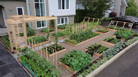 Kebun Sayur Mini Di Belakang Rumah - Anti Vuvuzela