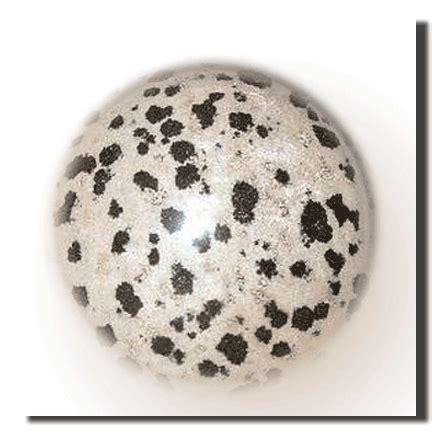 Dalmatian Stone Healing Properties, Meanings, and Uses - Crystal Vaults