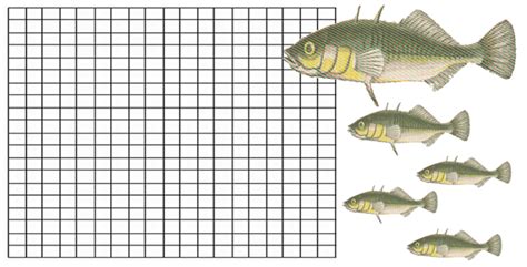 The Stickleback Fish - A Story of Modern Evolution - Biology LibreTexts