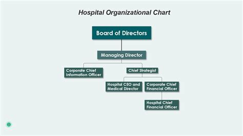 A Comprehensive Overview of Hospital Organizational Charts - EdrawMind