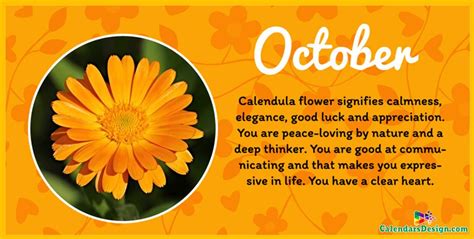 Flower For October Month Quotes | October flowers, Birth flowers, October birth flowers