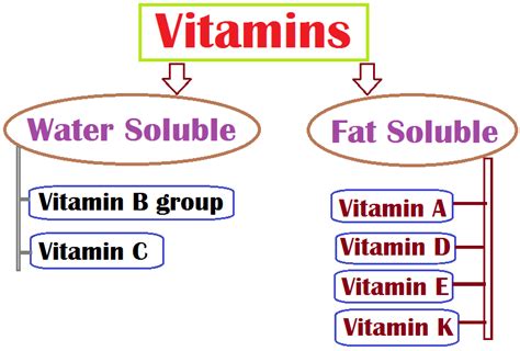 Which of the Following Choices Lists the Fat-soluble Vitamins - Audrina ...