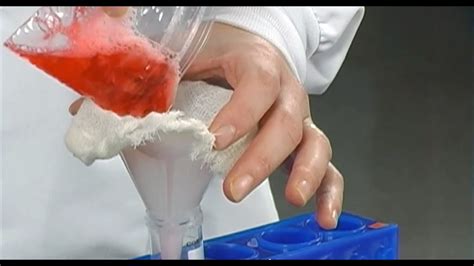 Dna Extraction From Strawberries