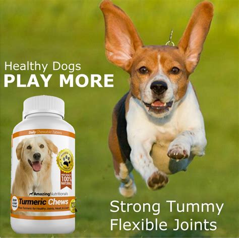 Turmeric for Dogs - Amazing Nutritionals