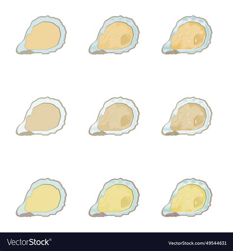 Oyster Royalty Free Vector Image - VectorStock