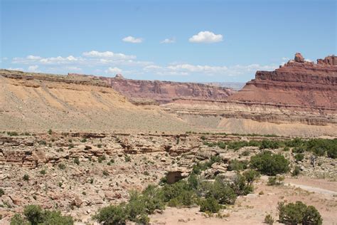 there is a horse that is standing in the desert