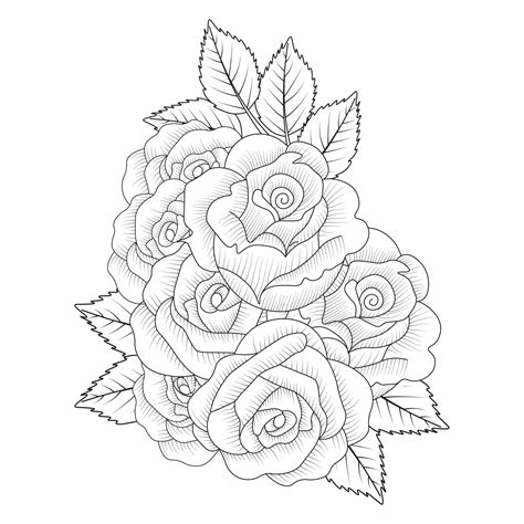 rose illustration of pencil line art with doodle style adult coloring book page with leaves easy ...