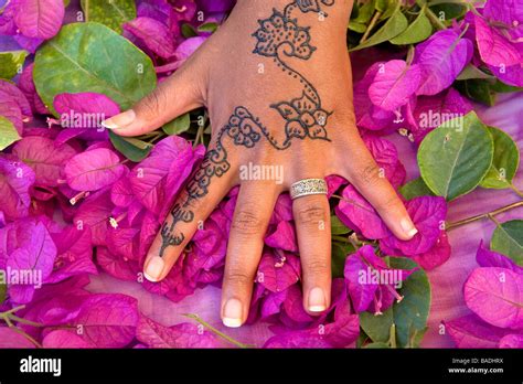 Morocco, Marrakesh, imperial city, henna tatoo on a hand Stock Photo - Alamy