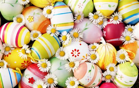 Wallpaper flowers, chamomile, eggs, Easter, flowers, Easter, eggs images for desktop, section ...