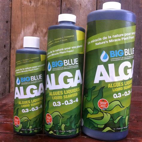 Fertilizer – ALGA Liquid Seaweed – Urban Seedling