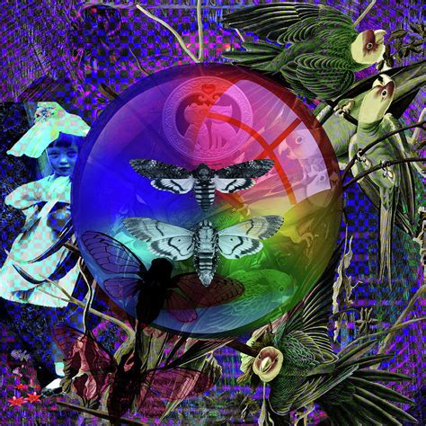 Our Life Spectrum Digital Art by Joseph Mosley | Fine Art America