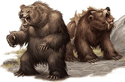 Brown Bear 5e Guide - Explore DnD