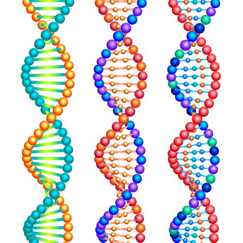 DNA分子设计图片-矢量DNA分子设计素材-高清图片-摄影照片-寻图免费打包下载