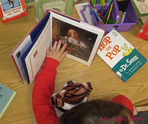 Book Buddies - Mrs Lodge's Library