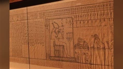 See photos of stunningly preserved 52-foot-long Book of the Dead papyrus from ancient Egypt ...