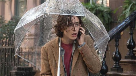 A Rainy Day in New York Movie Review