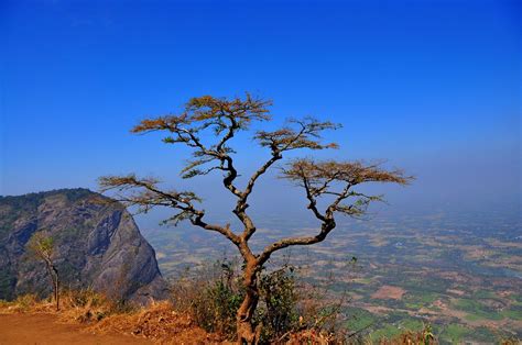 Nelliyampathy hills , Kerala - India | Please, please please… | Flickr