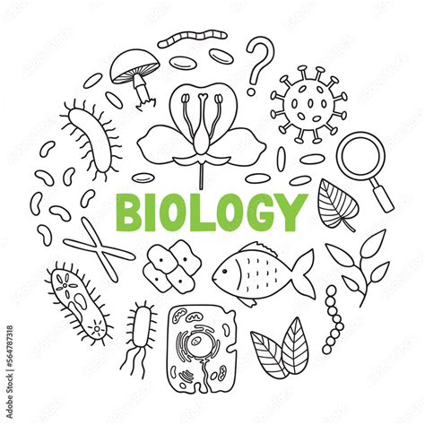 Biology doodle set. Education and study concept. School equipment, viruses, bacteria in sketch ...