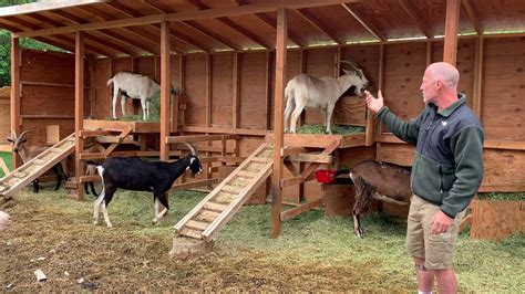 How to Build a Goat Shelter - YouTube