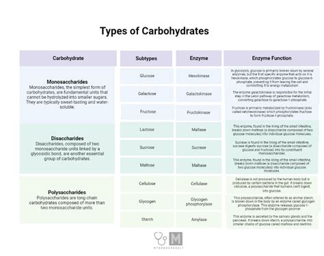 Types Of Carbohydrates - My Endo Consult