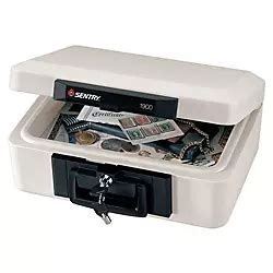 Sentry Safe Fire Safe Small Security Chest 14.6 Lb. 0.18 Cu. Ft. by Office Depot & OfficeMax