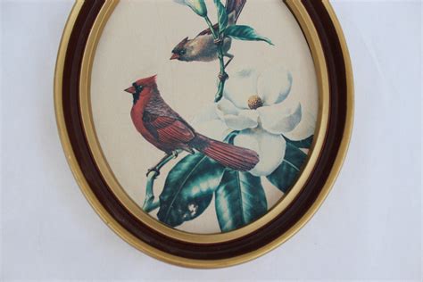 Vintage Framed Bird Print, Vintage Cardinal Bird Picture, Vintage Bird ...