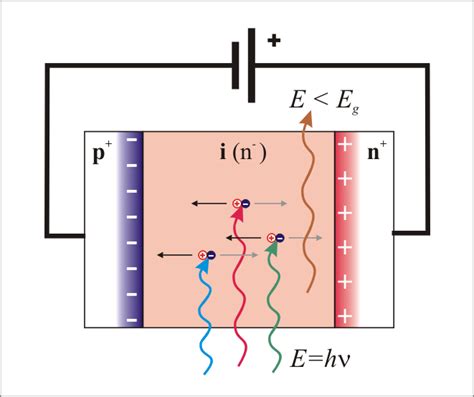 Si-PIN Photodiode β Detector | PhysicsOpenLab