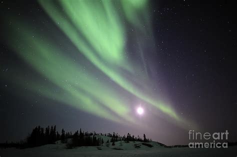 Aurora Borealis, Yellowknife, Northwest Photograph by Jiri Hermann ...