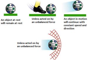 Newton’s First Law of Motion – MyRank