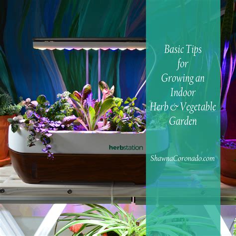 Indoor Vegetable Gardening Guide for Beginners