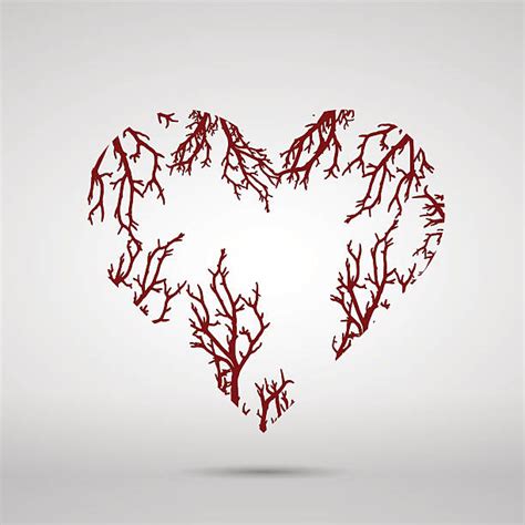 Heart Symbol Origin Pictures Illustrations, Royalty-Free Vector Graphics & Clip Art - iStock