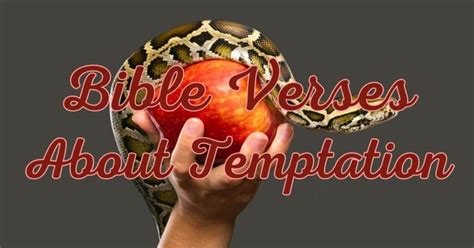 Bible Verses About Temptation – Bible Verses For Me