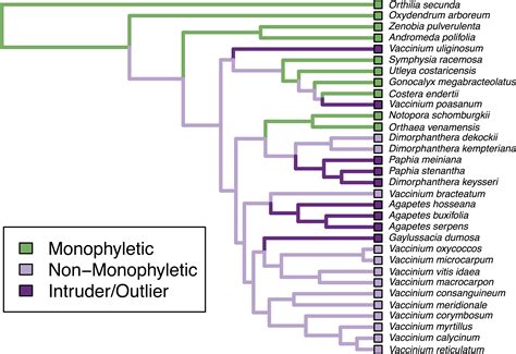 MonoPhy: a simple R package to find and visualize monophyly issues [PeerJ]