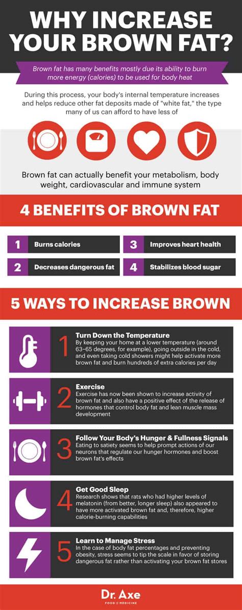 Increase Your Brown Fat to Maintain a Healthy Body Weight